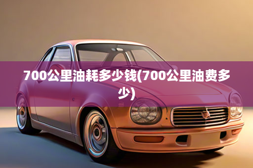 700公里油耗多少钱(700公里油费多少)
