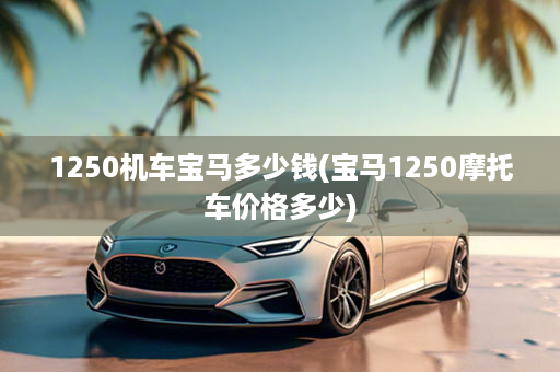 1250机车宝马多少钱(宝马1250摩托车价格多少)