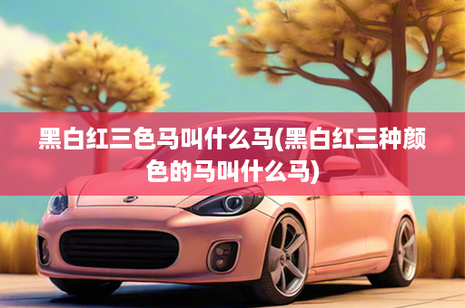 黑白红三色马叫什么马(黑白红三种颜色的马叫什么马)