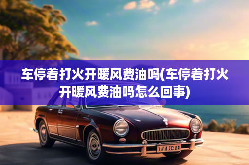 车停着打火开暖风费油吗(车停着打火开暖风费油吗怎么回事)