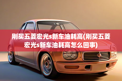 刚买五菱宏光s新车油耗高(刚买五菱宏光s新车油耗高怎么回事)