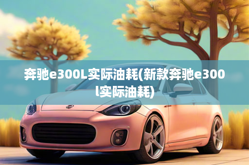 奔驰e300L实际油耗(新款奔驰e300l实际油耗)